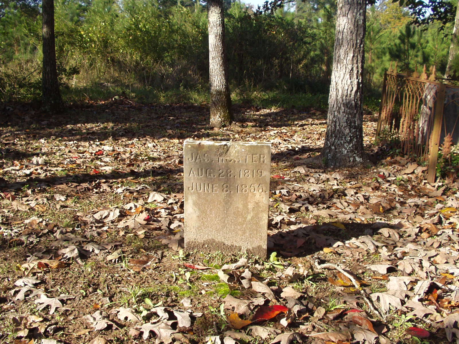 Picture4